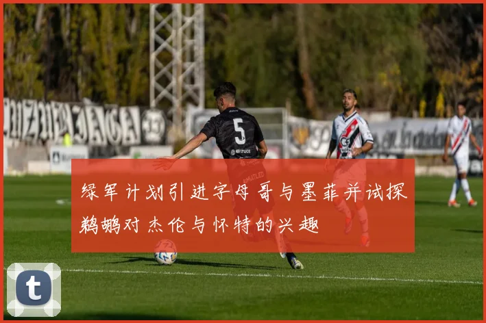 绿军计划引进字母哥与墨菲并试探鹈鹕对杰伦与怀特的兴趣